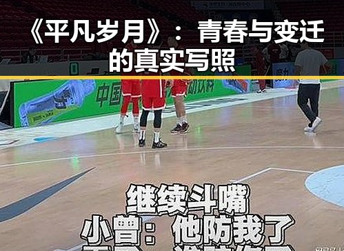 《平凡岁月》:青春与变迁的真实写照